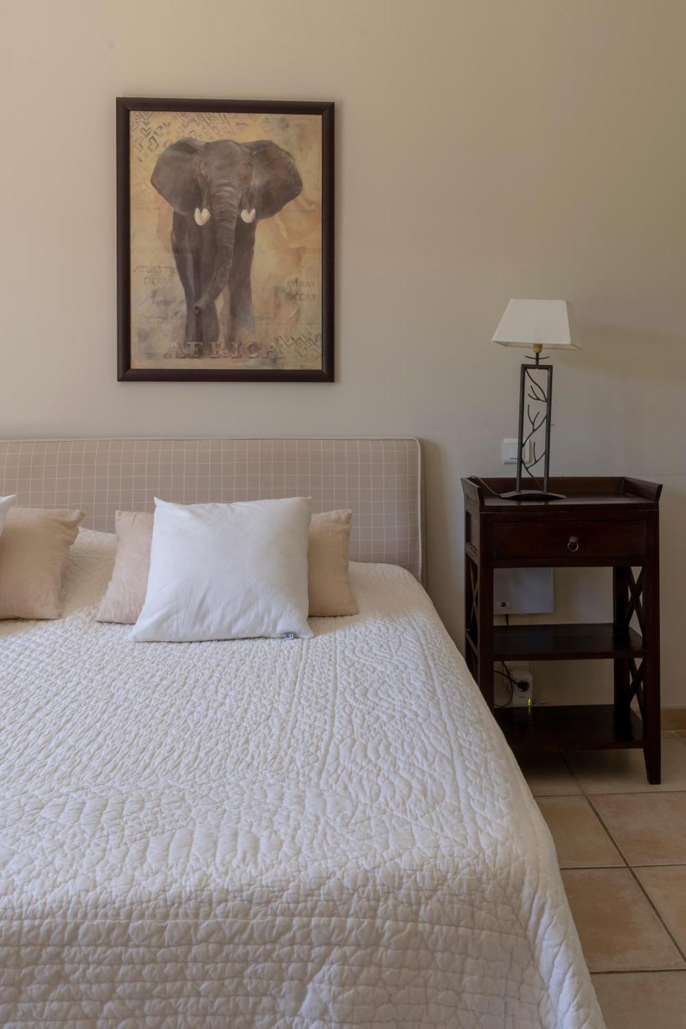 Villa Indigo Saint-Rémy-de-Provence المظهر الخارجي الصورة